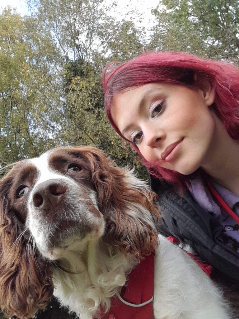 Dog Walking and training in Stratford
